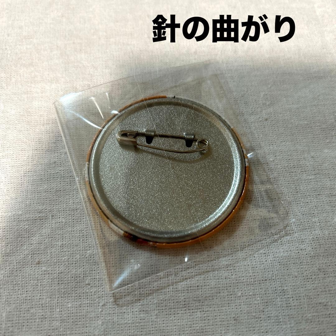 カラフルピーチ　えと　サマーランド　缶バッジ　34個