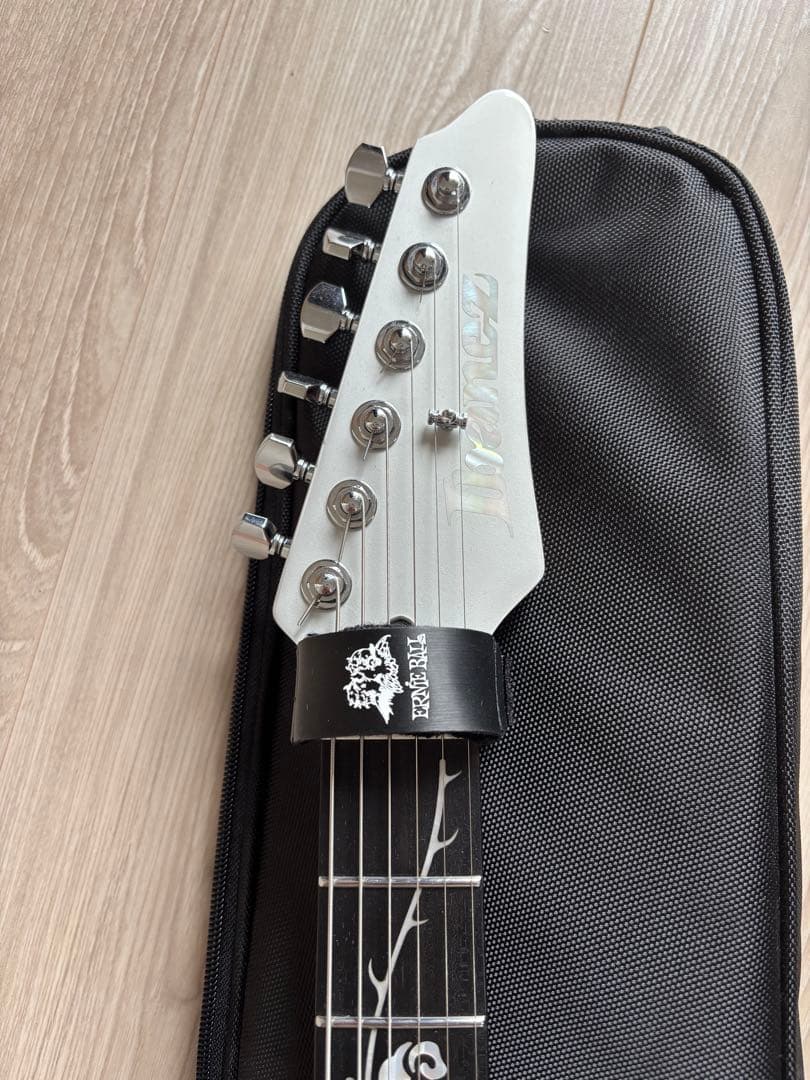 【最終値下】【ほぼ未使用】Ibanez TOD10 ソフトケース付き