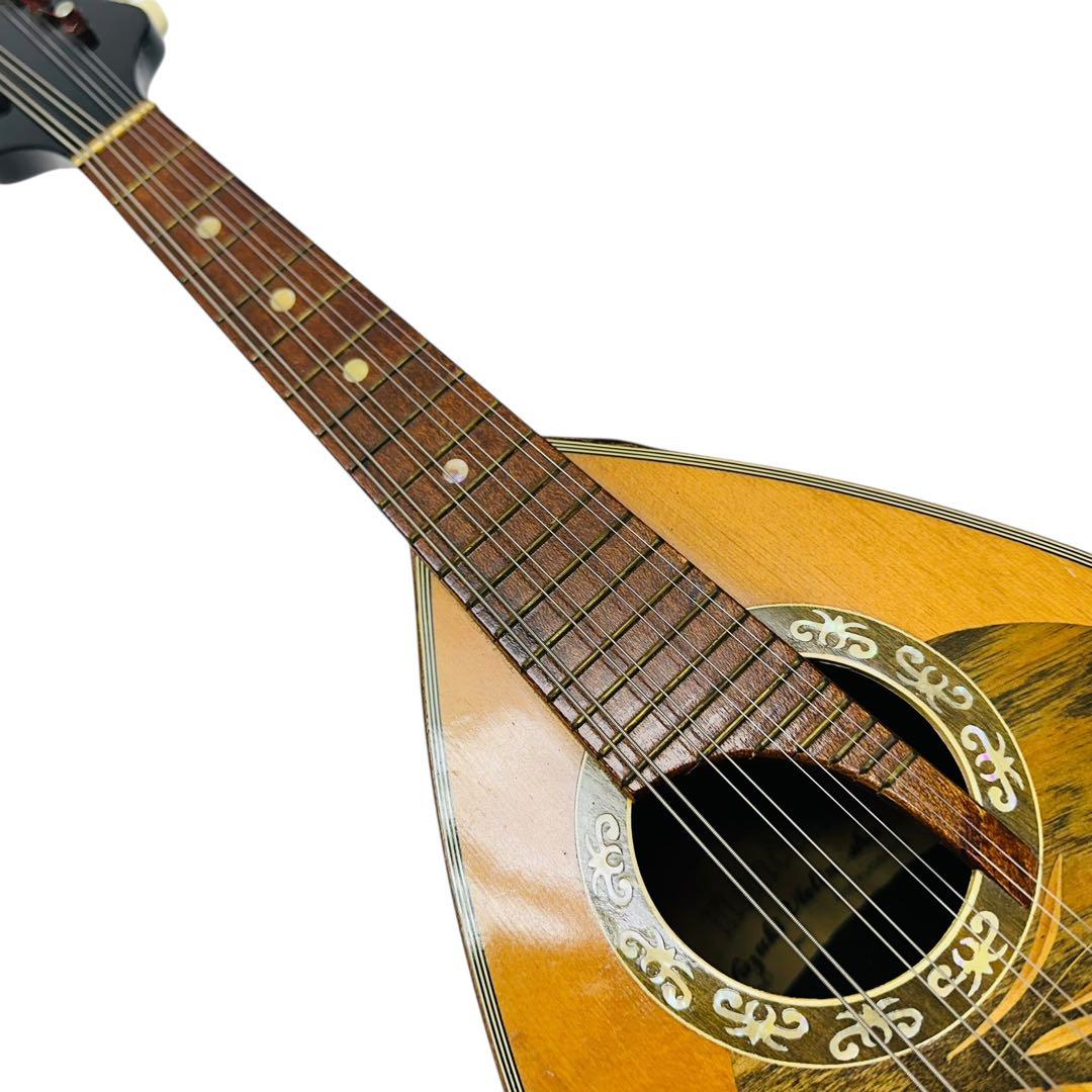 Suzuki Violin スズキバイオリン　マンドリン