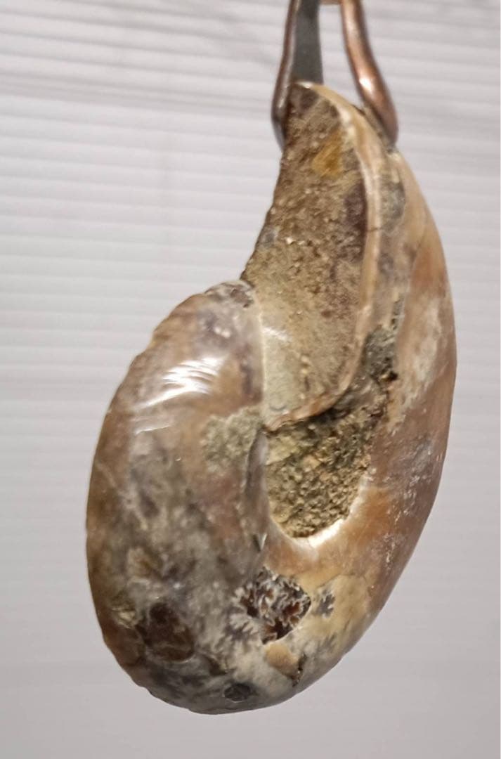 天然 アンモナイト アンティーク ペンダント ネックレス 2点 セット