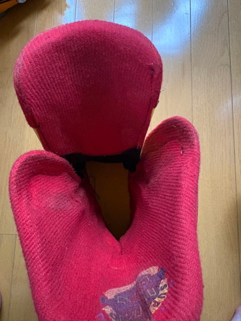 BLACK PRO アルペンボード 紫色