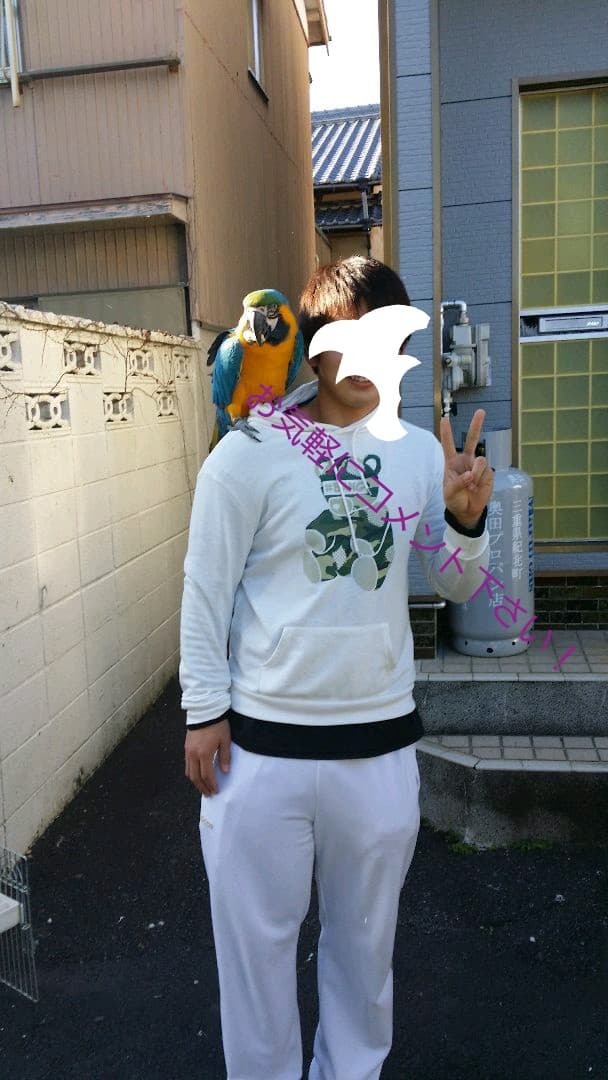 止まり木&オウムスタンド&他色々{コメント用}