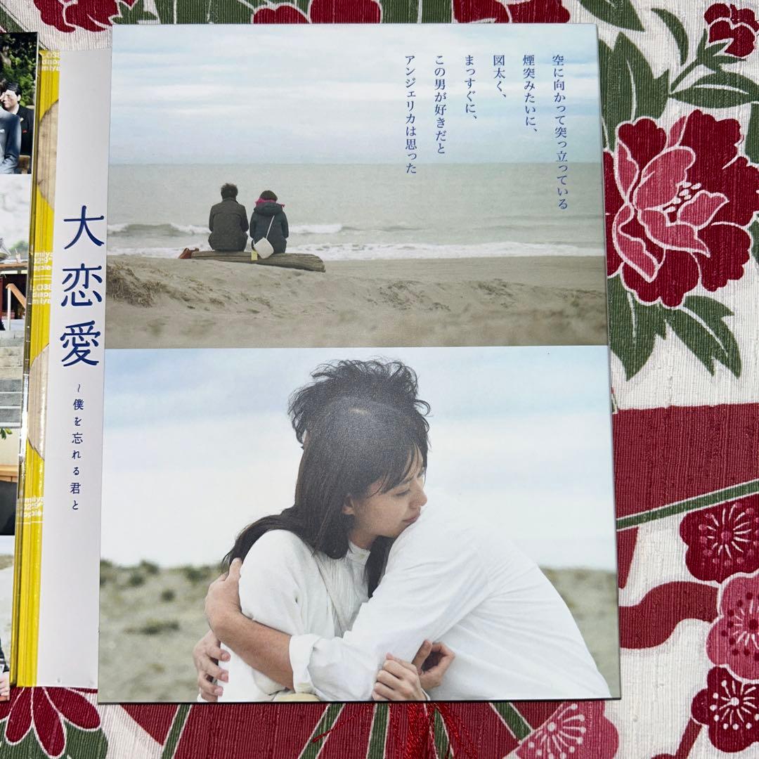 へ*こ様 大恋愛 DVD TBS