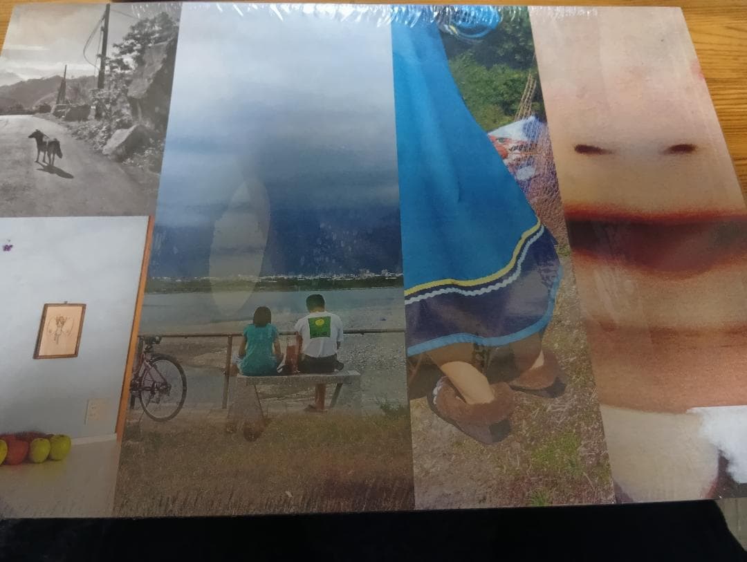 奈良美智　Will the Circle Be Unbroken 限定　写真集