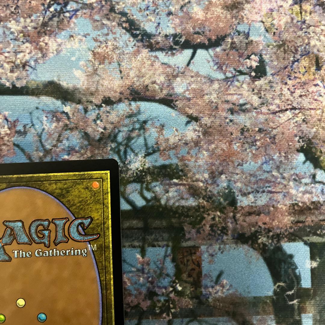 MTG SECRETLAIR アニマ(悲嘆) 英語版Foil