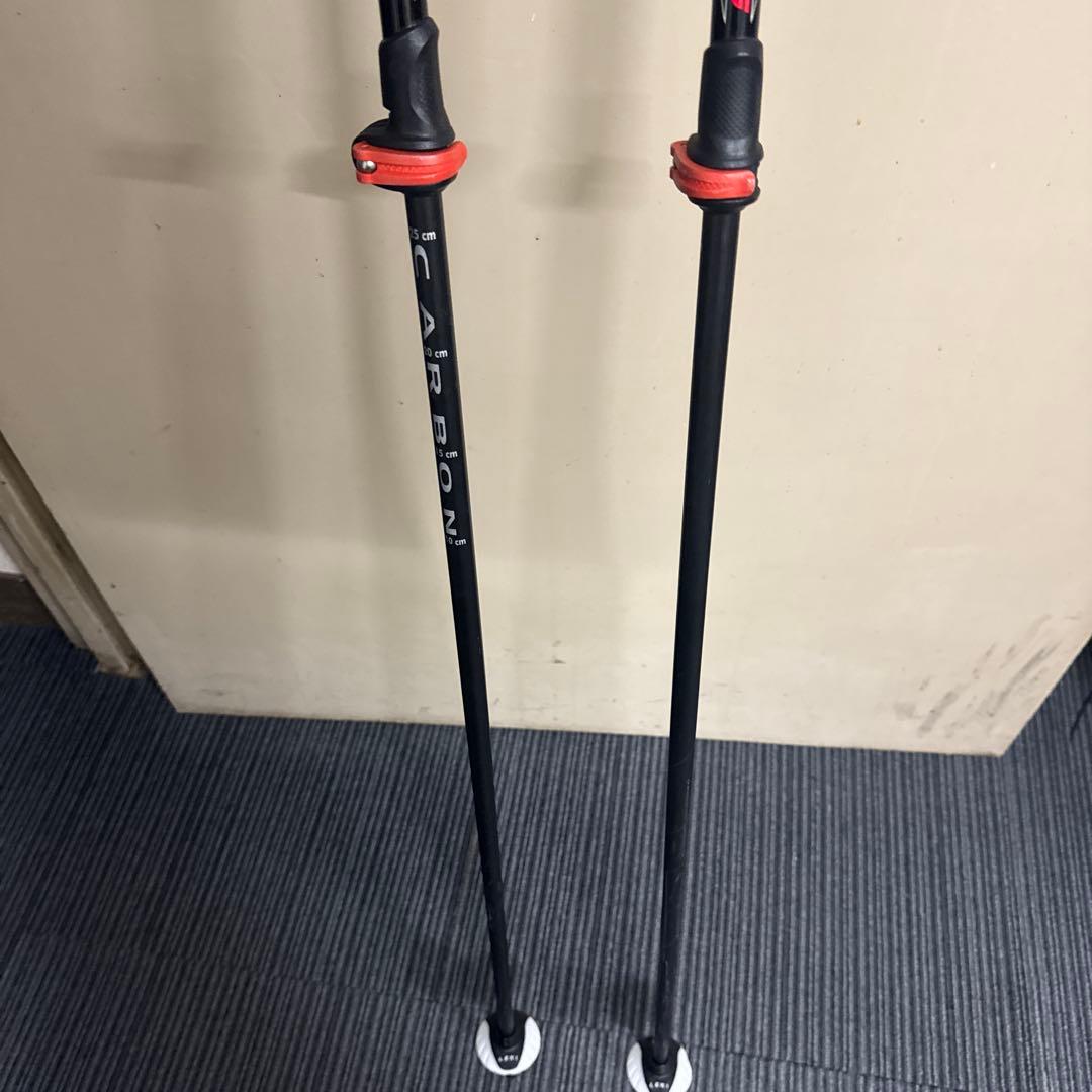 スキーポール レキ ピーク ヴァリオ S