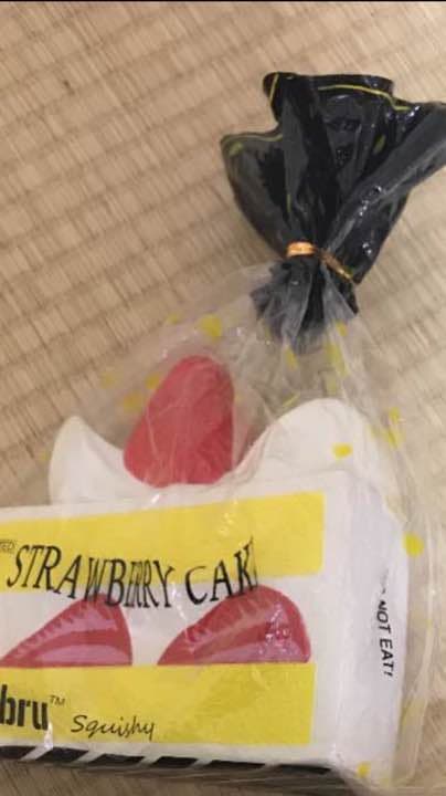 Chisa様確認用