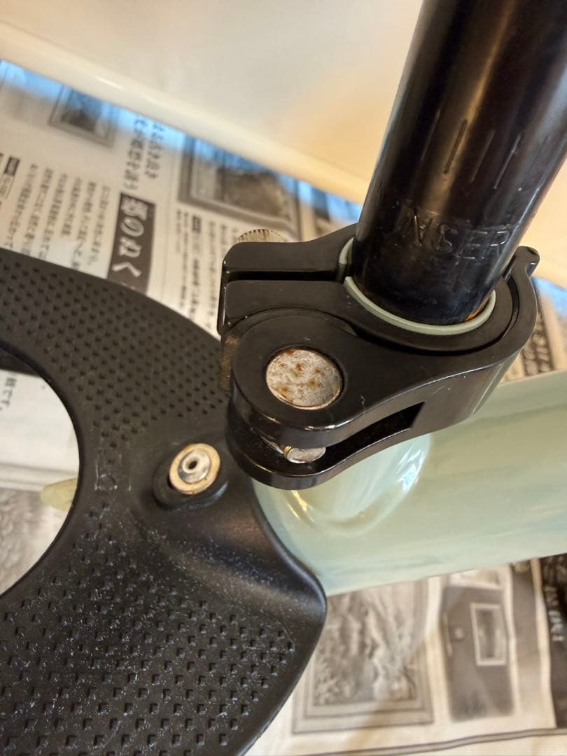 STRIDER ストライダー 12インチ アイスブルー 2023年限定カラー