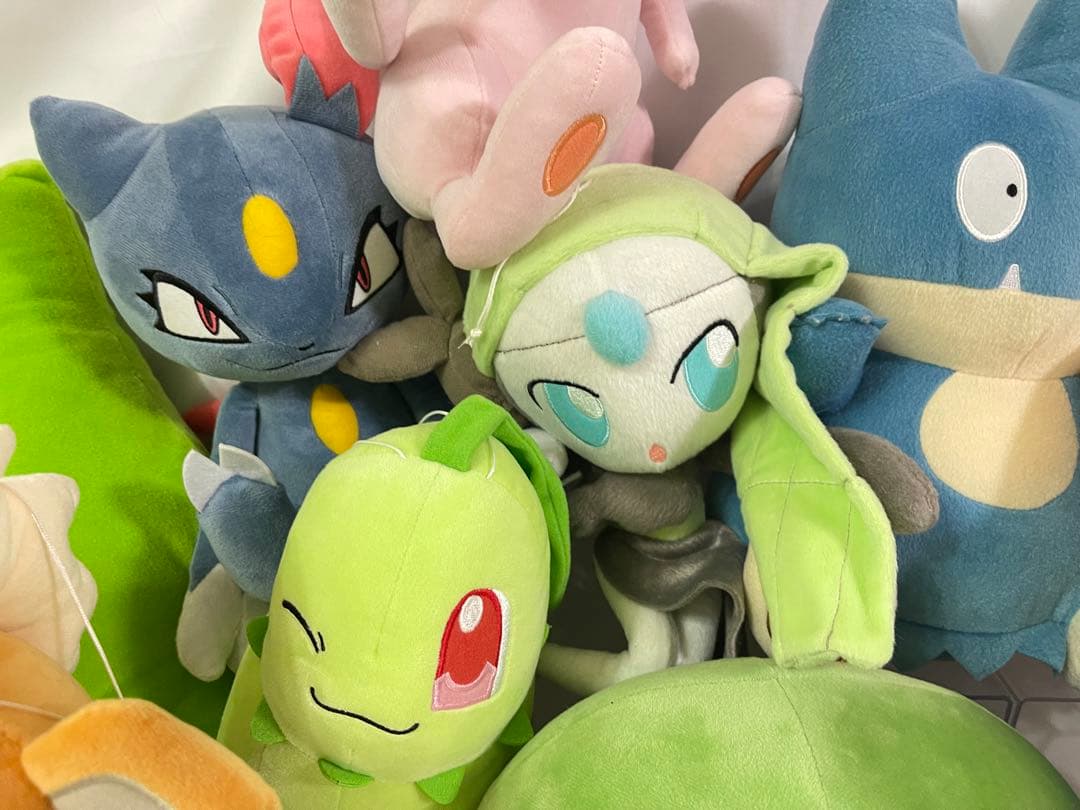 ポケットモンスター　ぬいぐるみ（中〜大）