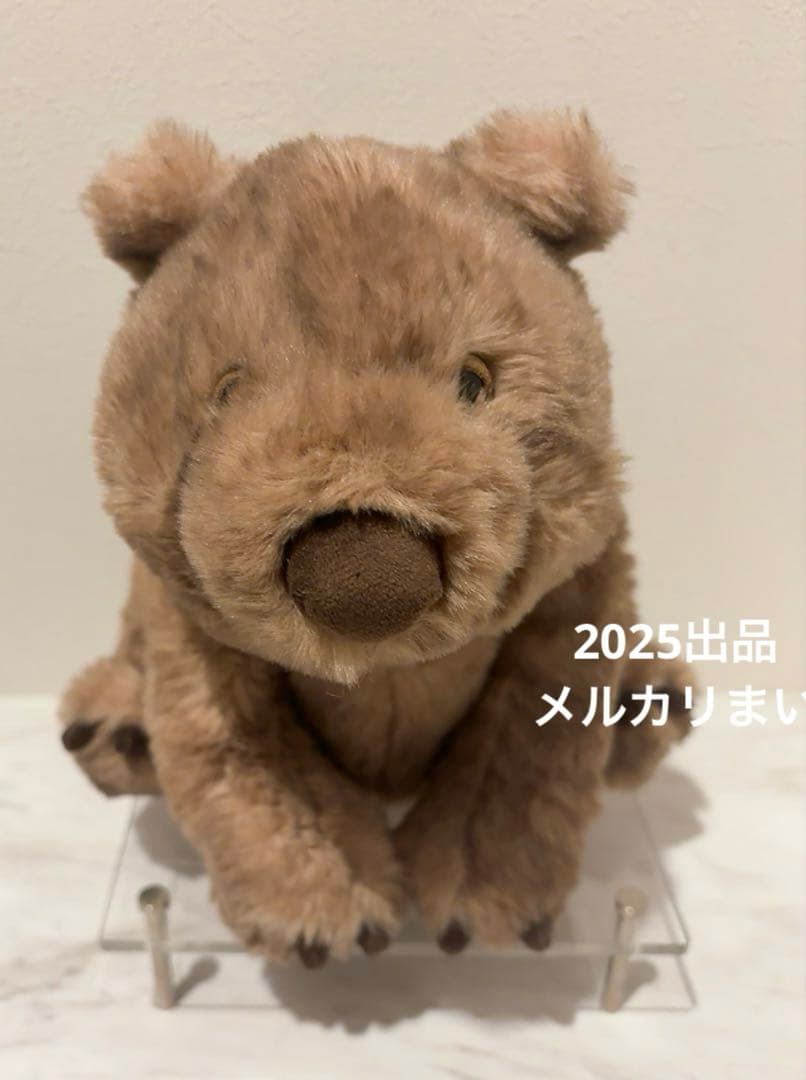  Wonda Wombat ウォンバット　ぬいぐるみ