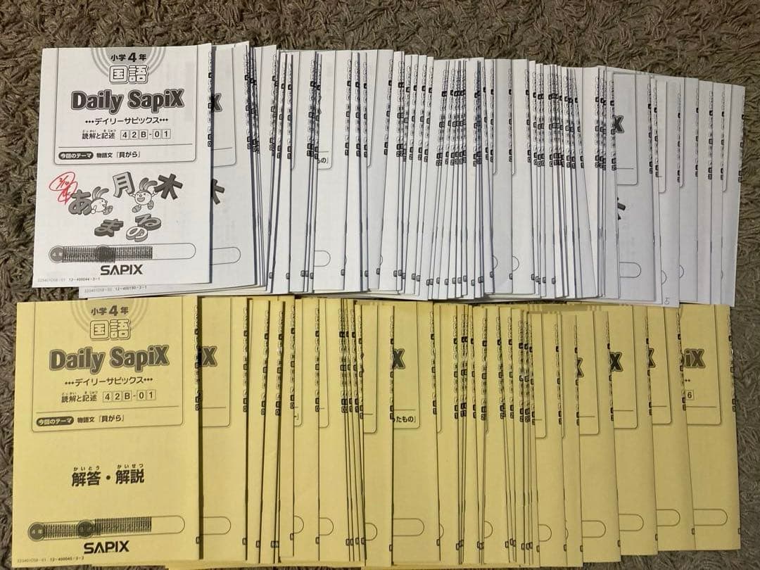 【melkni240】SAPIX4年国・算・理、社テキストフルセット1年分