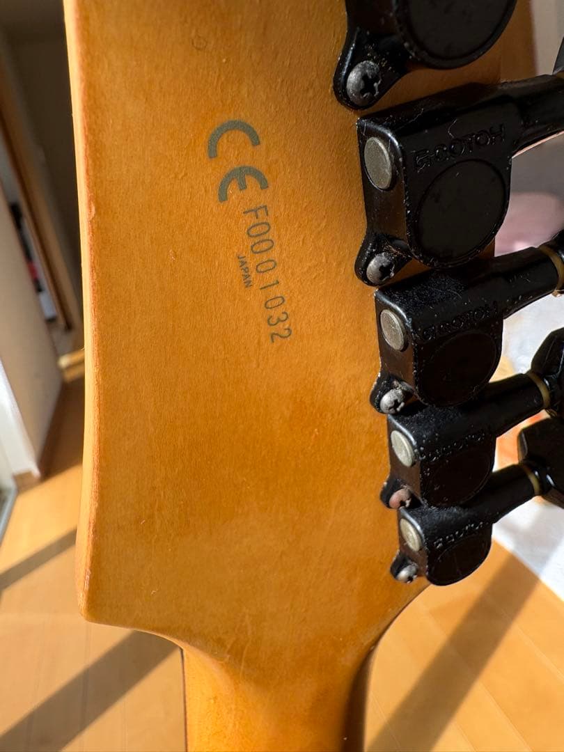 Ibanez RGシリーズ 7弦　RG7620