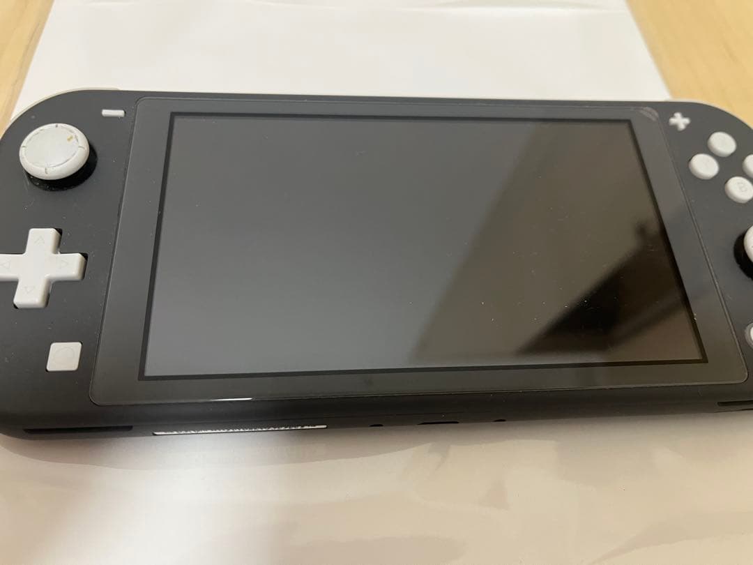 Nintendo Switch Lite グレー 本体 充電器・ケース付き