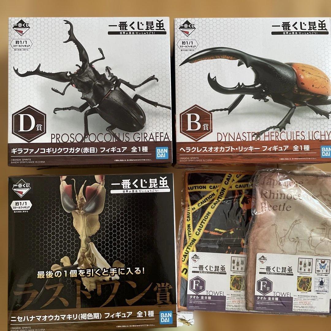 一番くじ昆虫　B賞　D賞　ニセハナマオウカマキリ ラストワン賞 褐色期