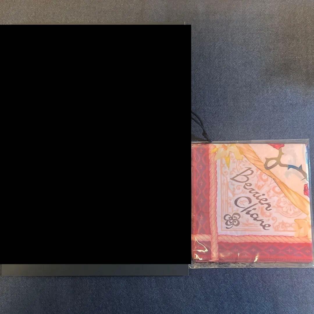 あくねこ ベリアン まとめ売り ぱしゃこれ バトコレ ぬいぐるみ アクスタ