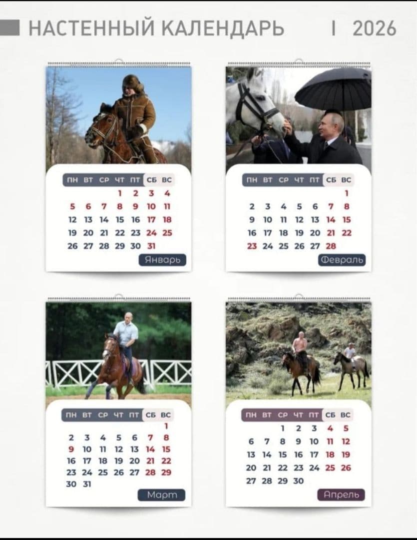 2026年プーチン大統領カレンダー(壁掛け) 3種類とチョコと紅茶のセット