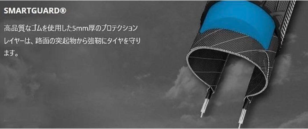 シュワルベ マラソンウィンタープラス 26インチ 自転車用スパイクタイヤ