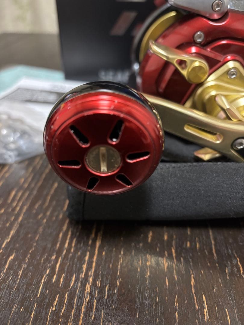 DAIWA SEABORG８００MJ 電動リール