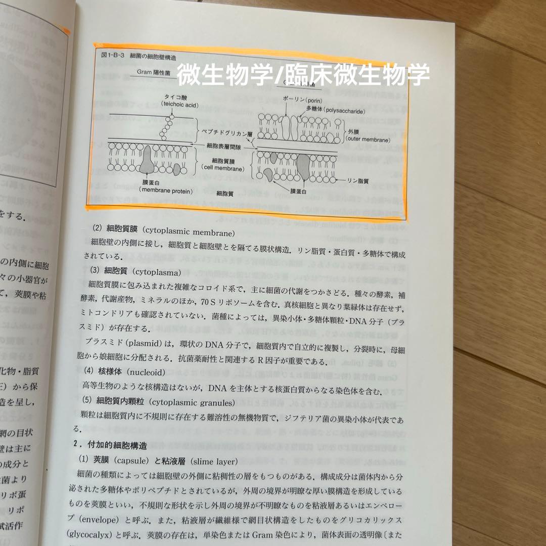 臨床検査学講座シリーズ　※詳細説明ご覧ください