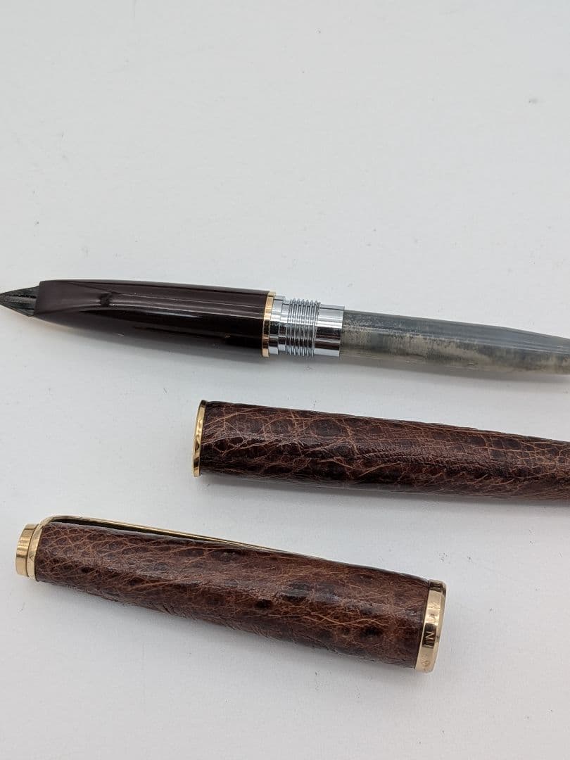 廃盤〈PLATINUM〉アマゾナス プラチナ 万年筆 ペン先 18K ②⑩