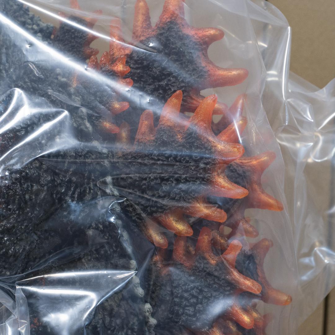 【内容物未開封】ギガンティックシリーズ ゴジラ(1995) ファイナルバトル