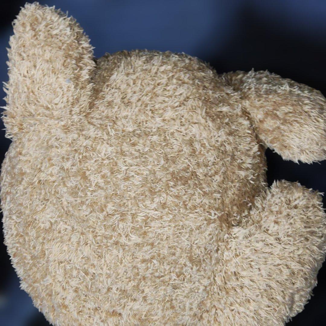 安立屋限定 いぬくじ特等 スタンダードプードル トイプードル 浅草