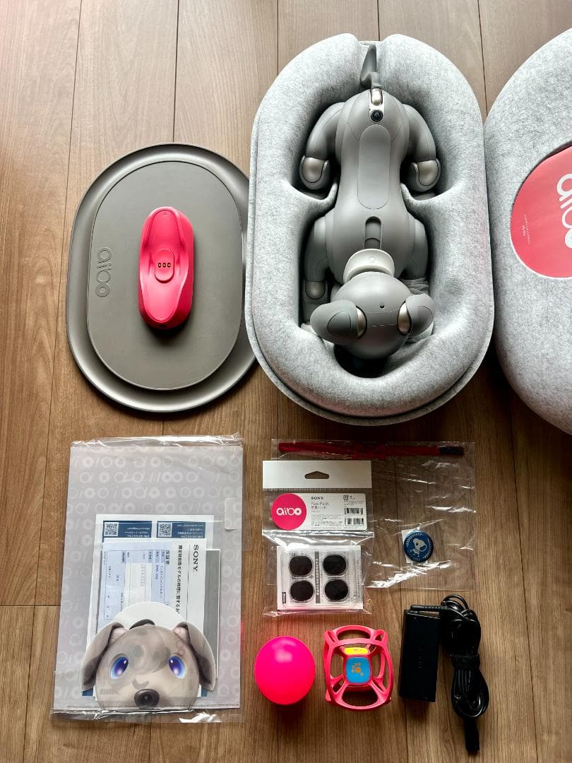 「Hiro 」Sony aibo ERS-1000 「黒ゴマエディション」