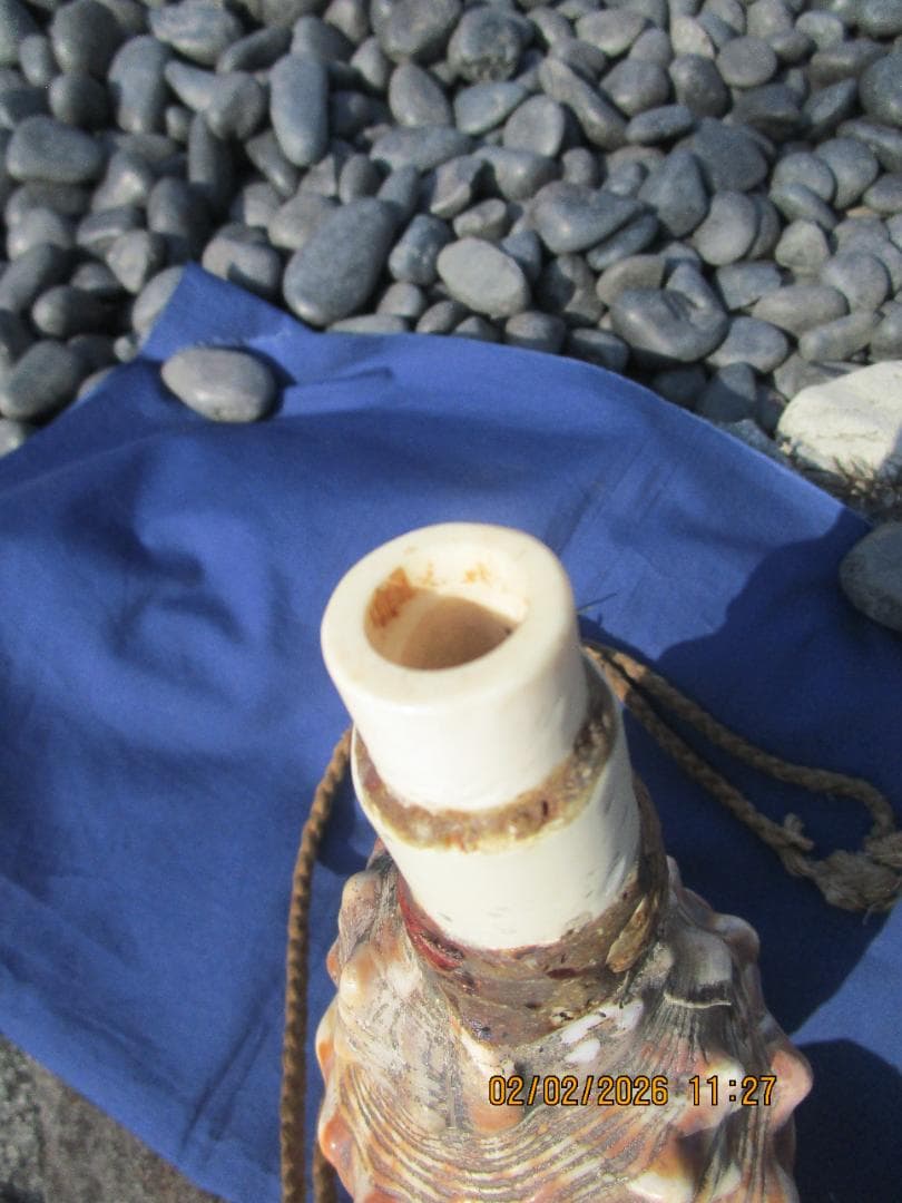 法螺貝　ホラ貝　紐付き　山伏必需品　1個