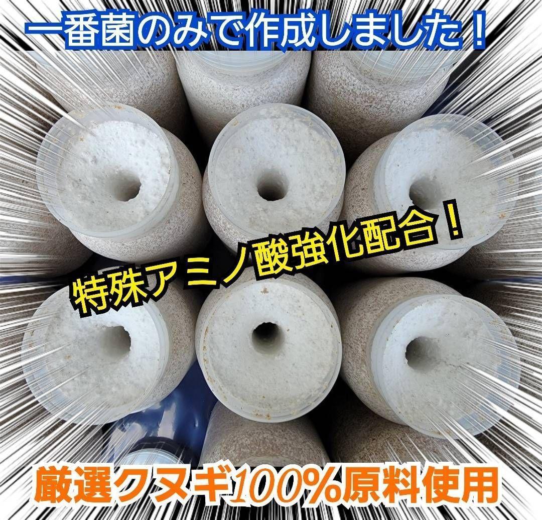 極上！オオヒラタケ菌糸瓶【8本】トレハロース強化配合！オオクワ・ヒラタ・虹色に！