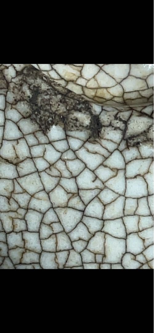 李朝 白磁小壺 丸壺 (塩笥盃)