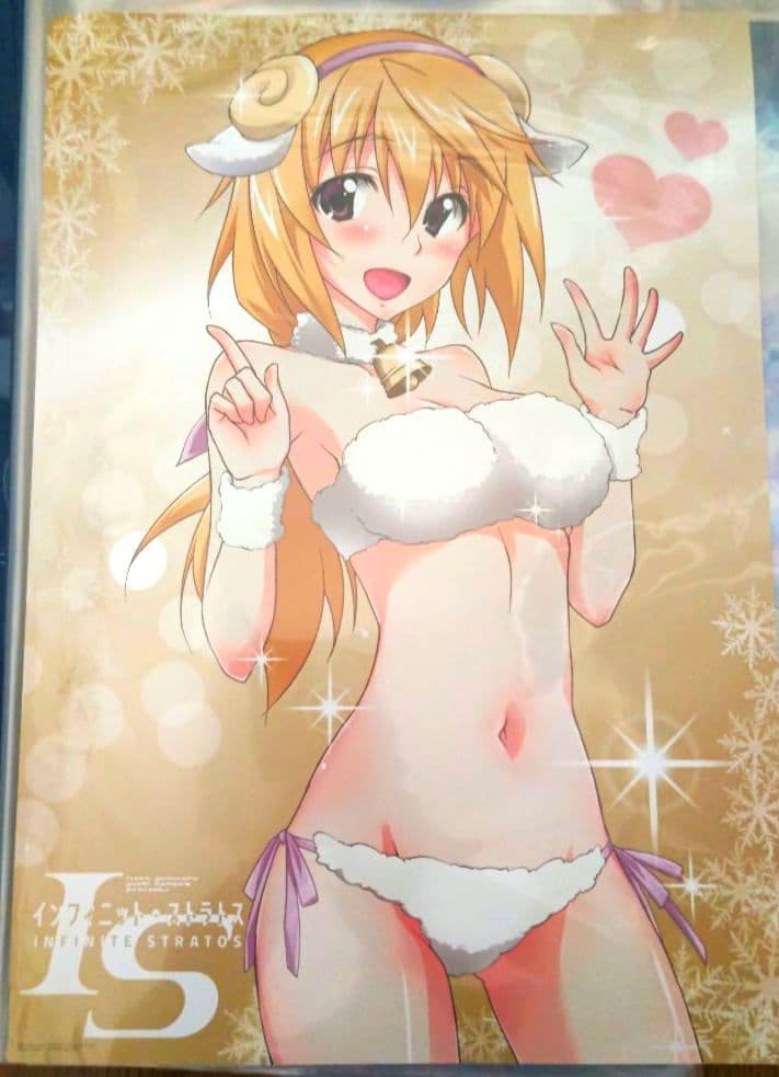 リバーシブルお風呂ポスターシャルロット・デュノアIS<インフィニット・ストラトス