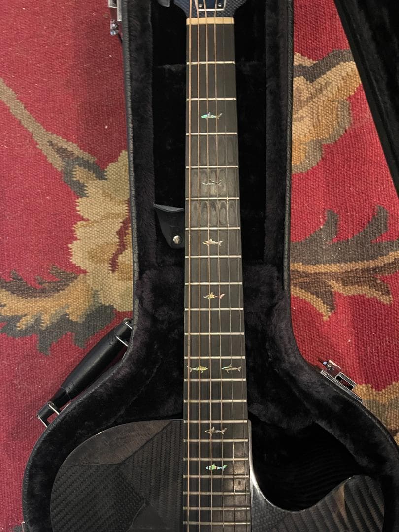 Rainsong BI WS1000N2 Black Ice ハードケース付き