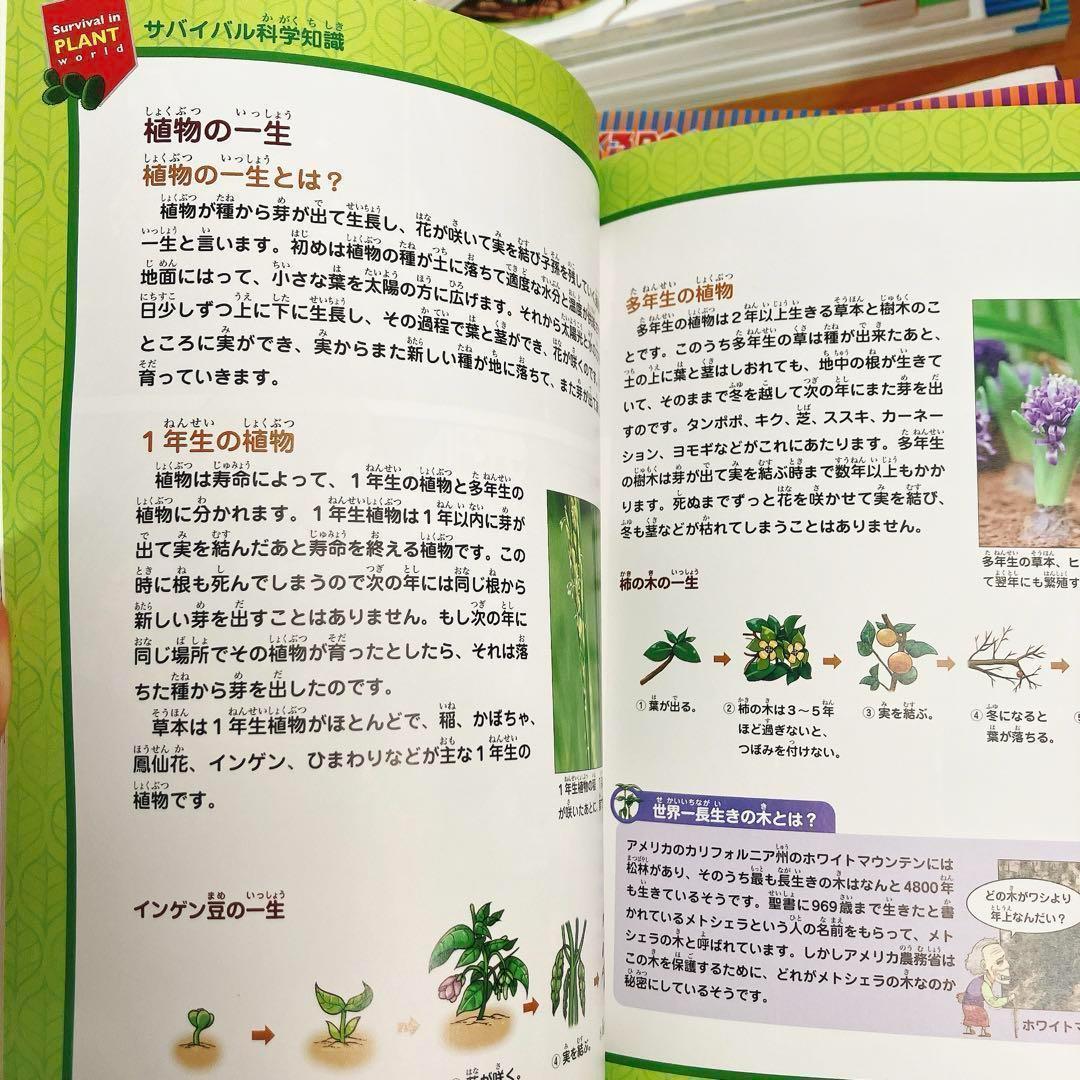 サバイバルシリーズ25冊セット