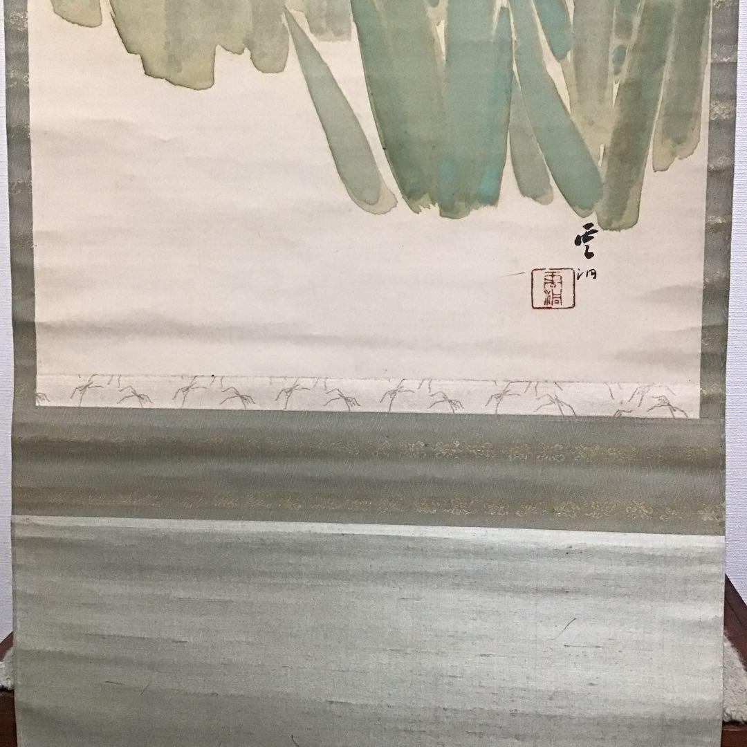 K茶道具　掛軸　杜若(かきつばた)　小寺雲洞作(明治ー昭和)共箱　S1014KJ