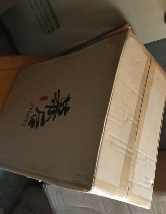 BLEACH  黒衣少年図 コヨーテ 1/8ガレージキット ガレキ スタチュー②