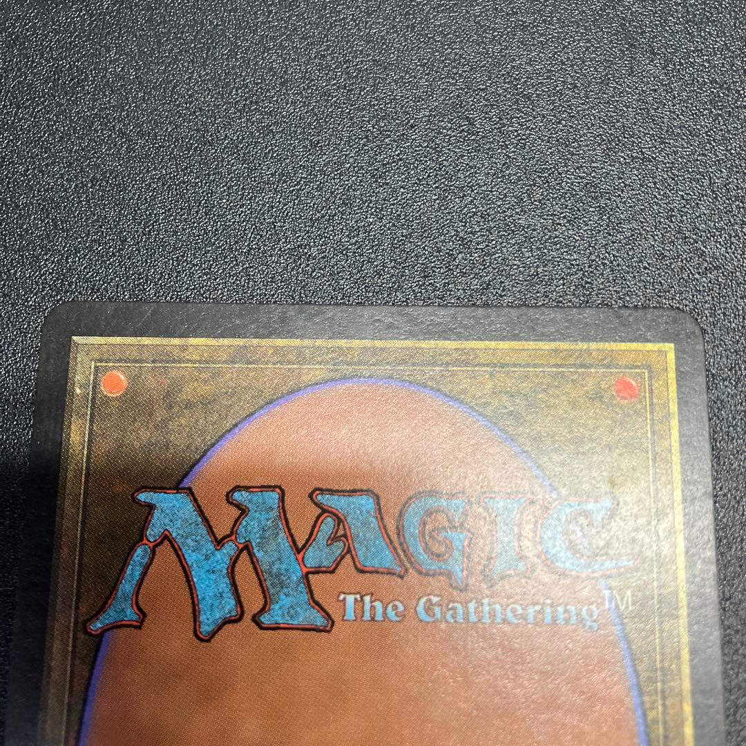 MTG 適者生存　日本語　再録禁止