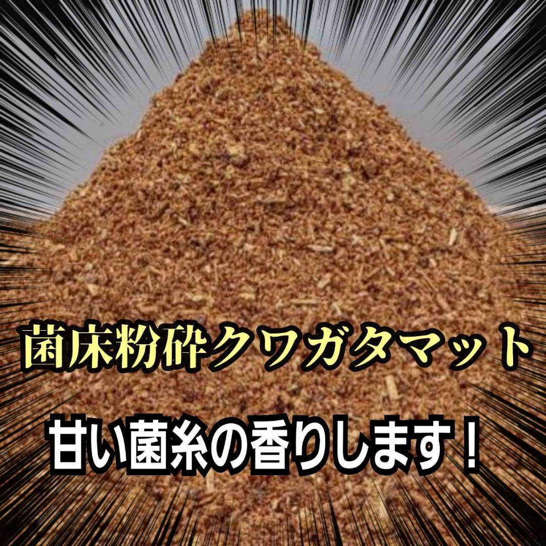 菌床粉砕クワガタマット【30L】ボトルやカップに詰めるだけ！菌糸瓶より経済的！