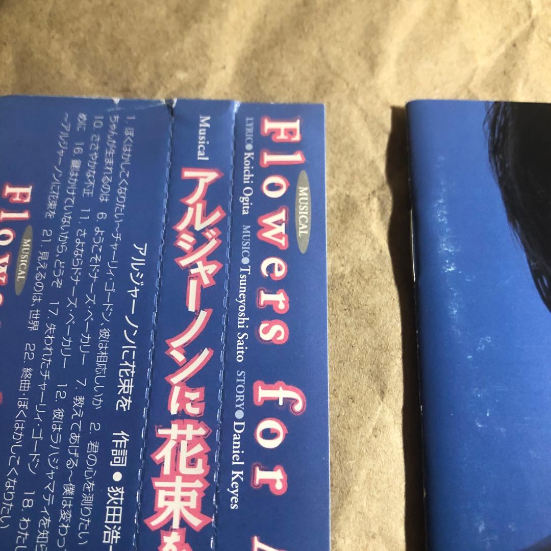 浦井健治 アルジャーノンに花束を 2006年版 ミュージカル CD