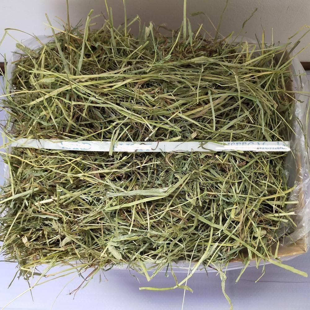 【家計応援価格】US産 チモシー 60kg ２番刈 ソフトSプレミアム