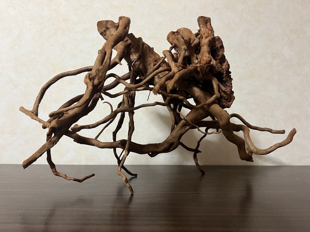 51608 ブランチウッド　流木　アクアリウム 沈水確認済