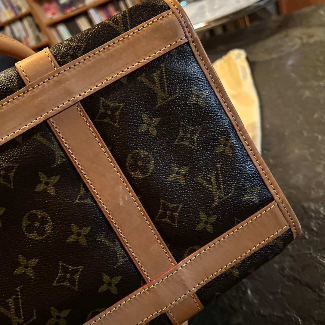 ルイヴィトン　小型犬　猫　キャリーバッグ