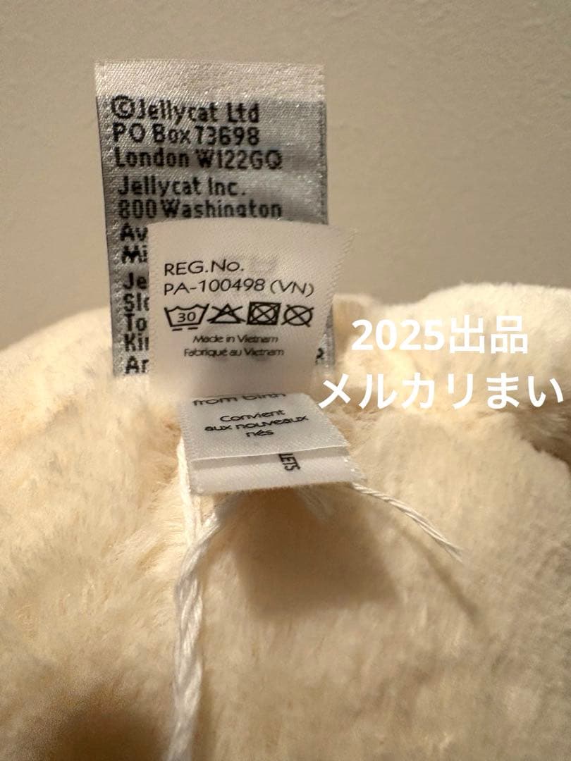  Medium Bashful Cream Kitten 白猫