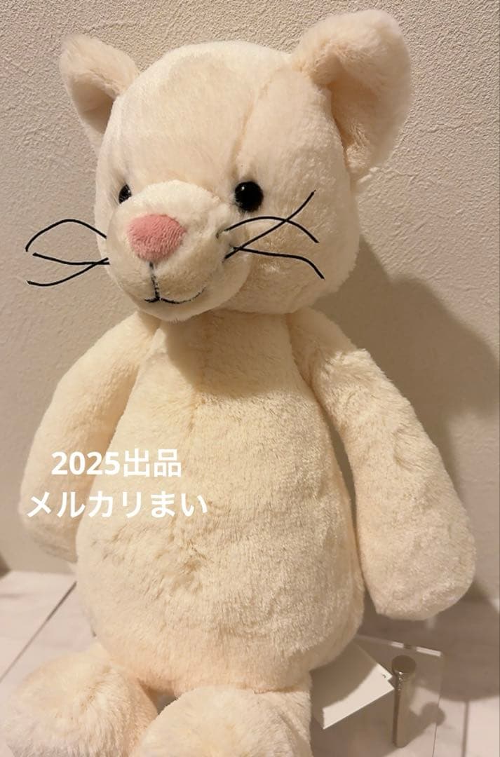  Medium Bashful Cream Kitten 白猫