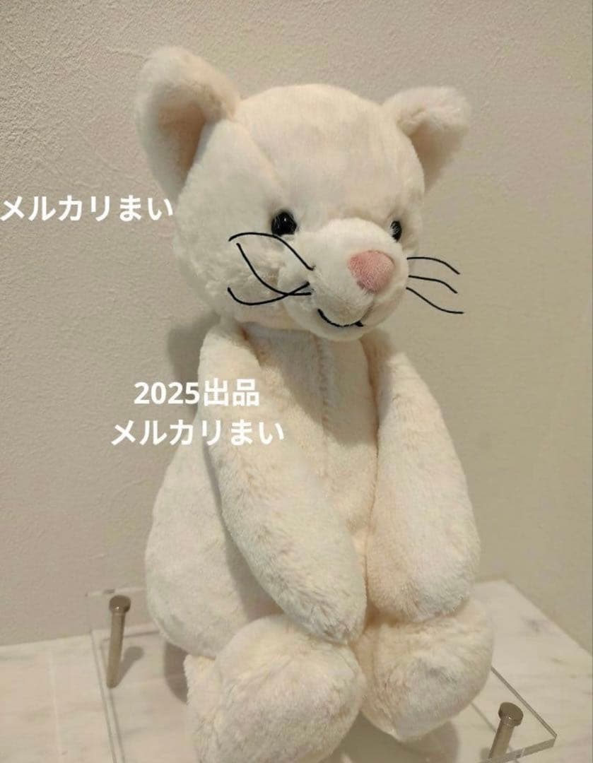  Medium Bashful Cream Kitten 白猫