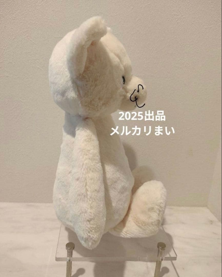  Medium Bashful Cream Kitten 白猫