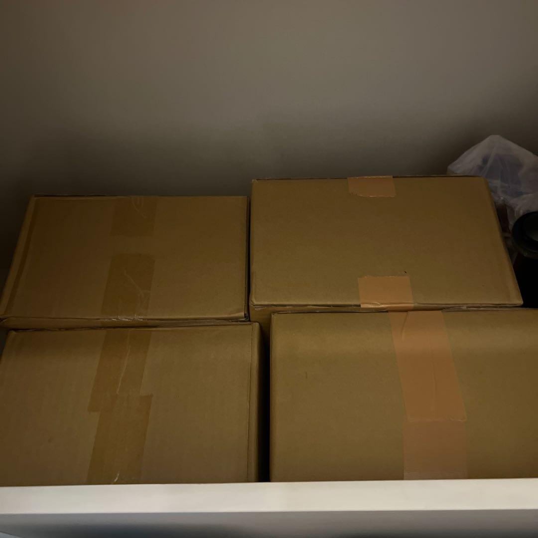 Nintendo Switch 2 ワールドマリオセット(日本語・国内専用)