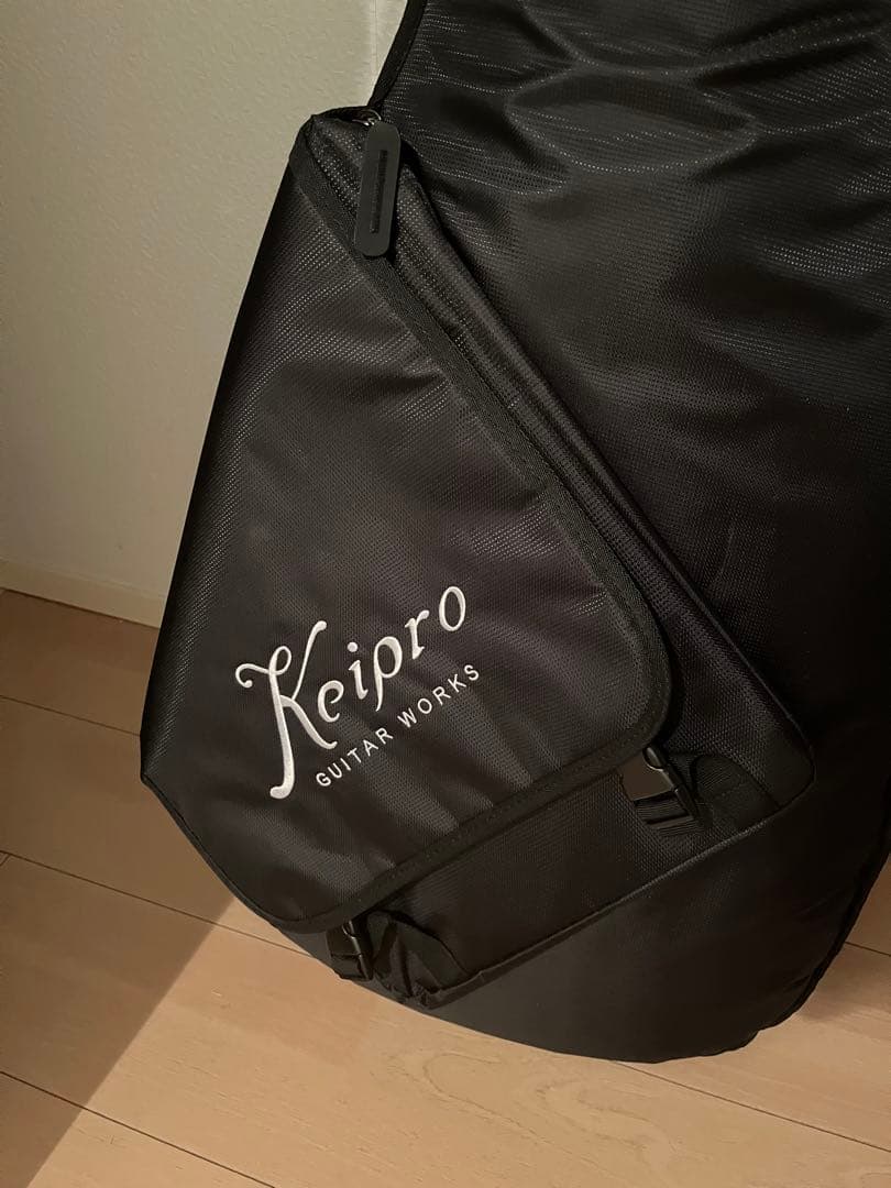 Keipro Guitars Modern Pro ギター 定価18万円
