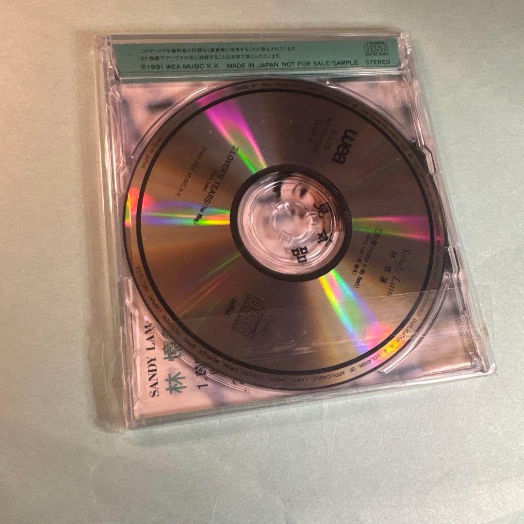 サンディ・ラム SANDY LAM／パラダイス・イン・マイ・ハート