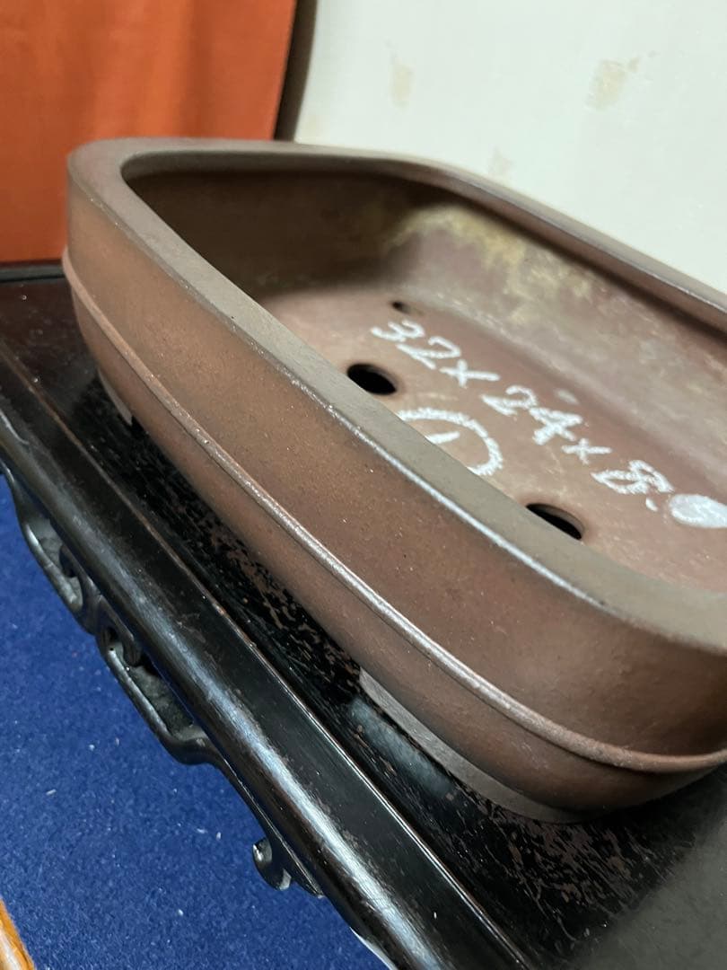 464 盆栽　盆栽鉢　植木鉢　和鉢　山秋