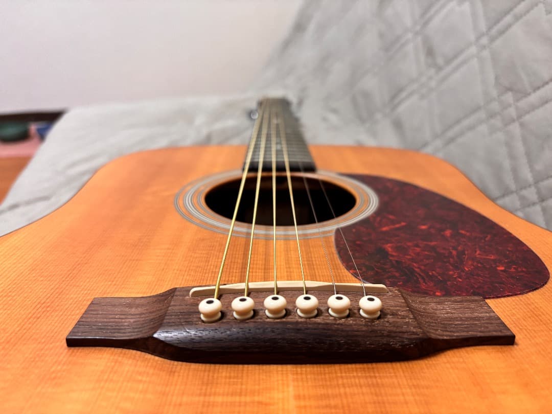 ギター Martin D-1